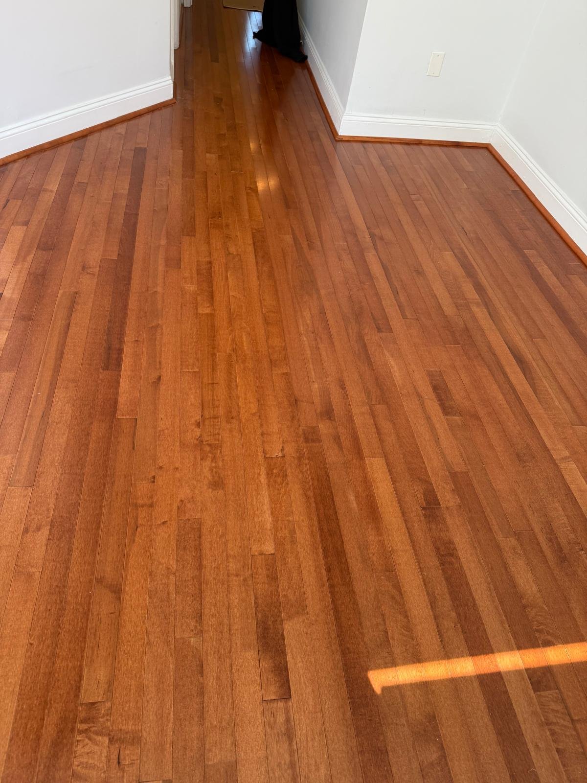 Palledium Floor. Corp