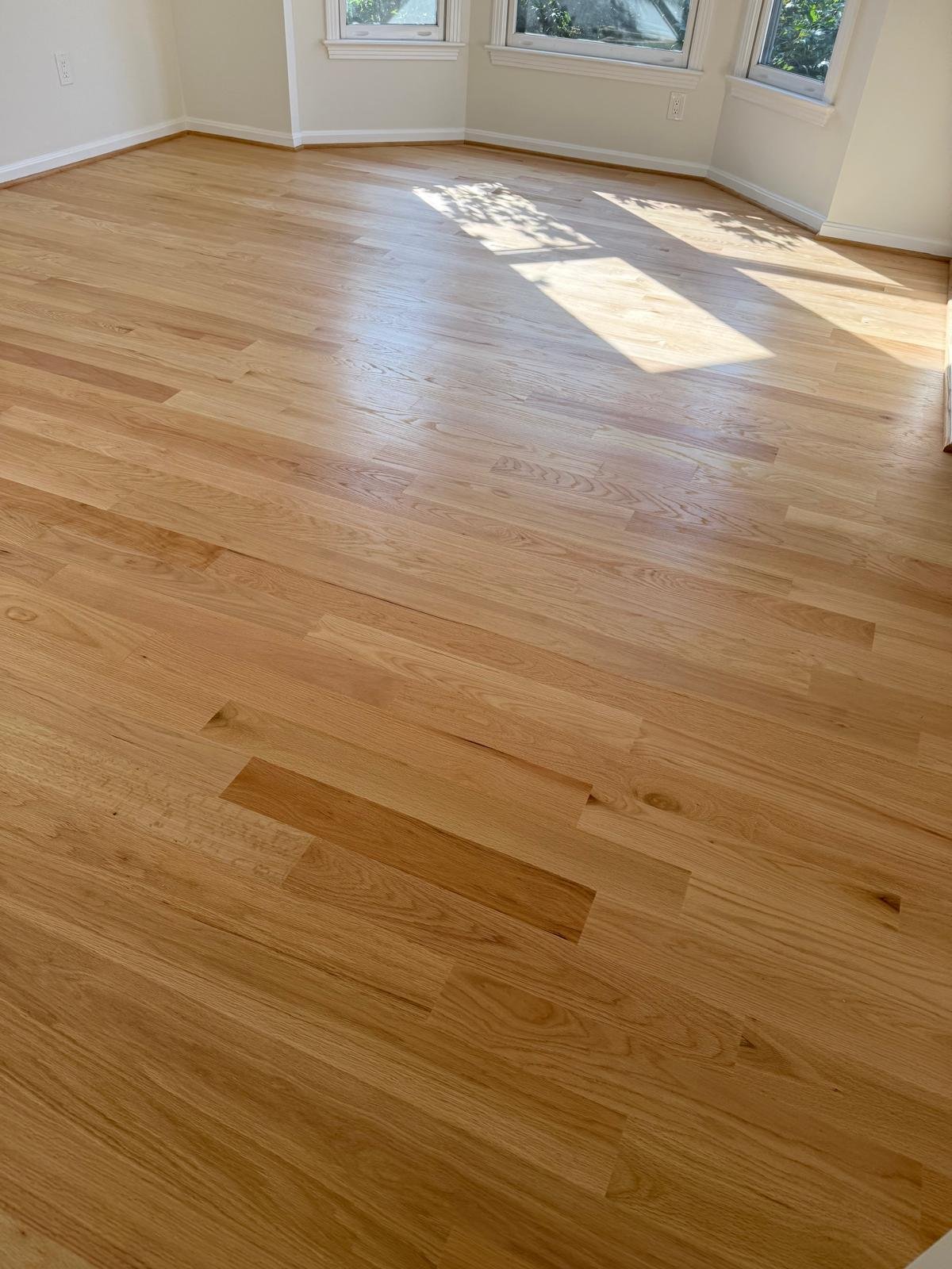 Palledium Floor. Corp