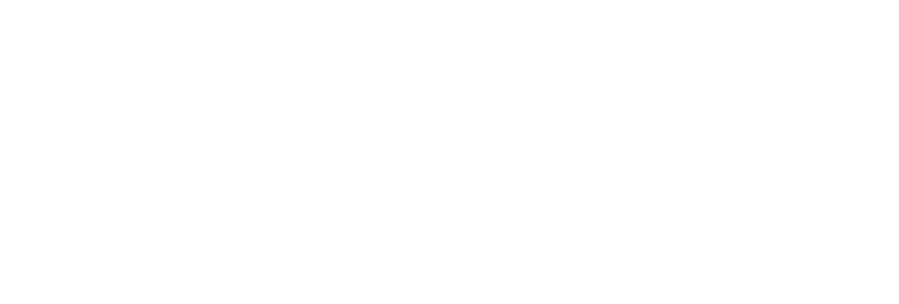 Logo Palledium Floor. Corp